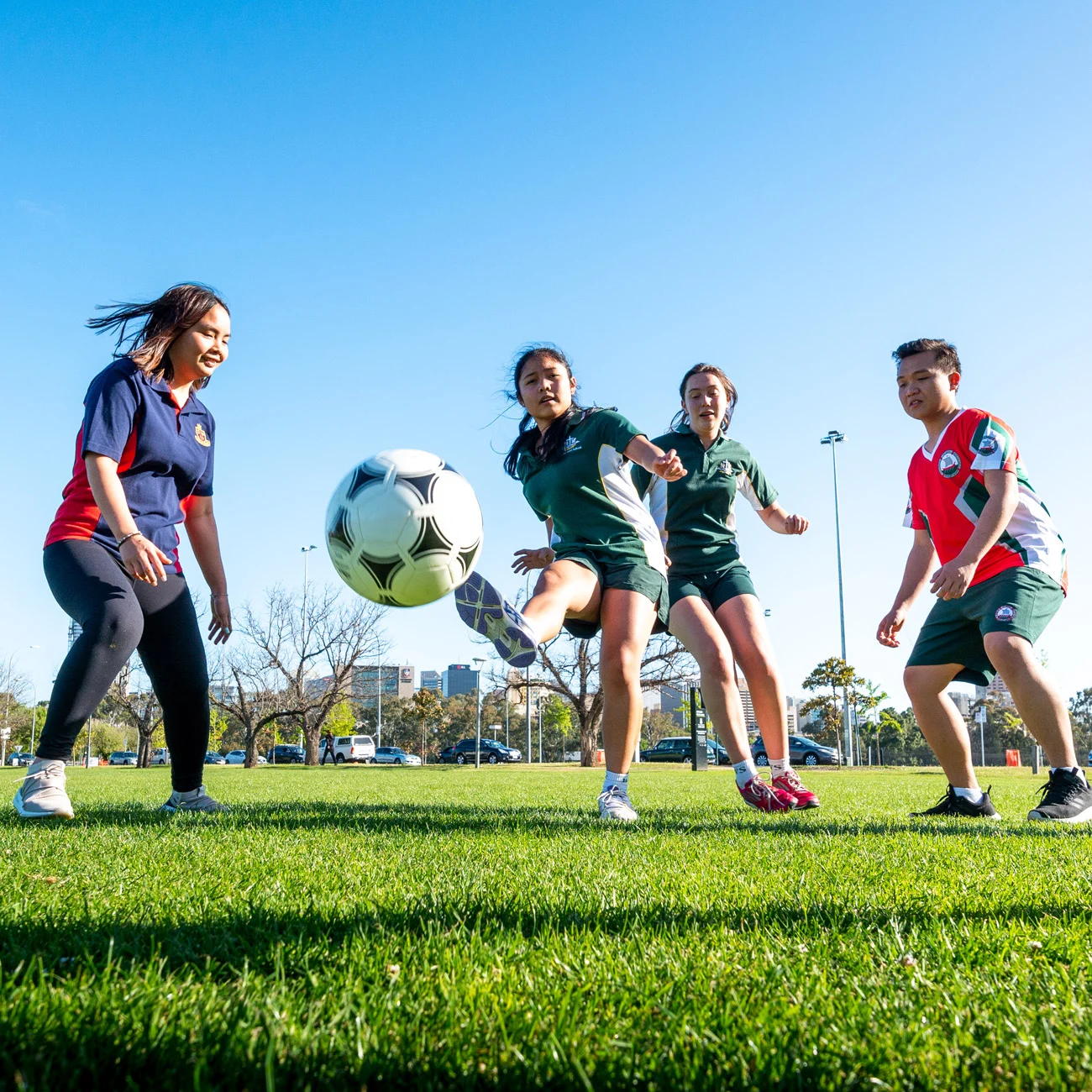 听球员合理 听球员合理